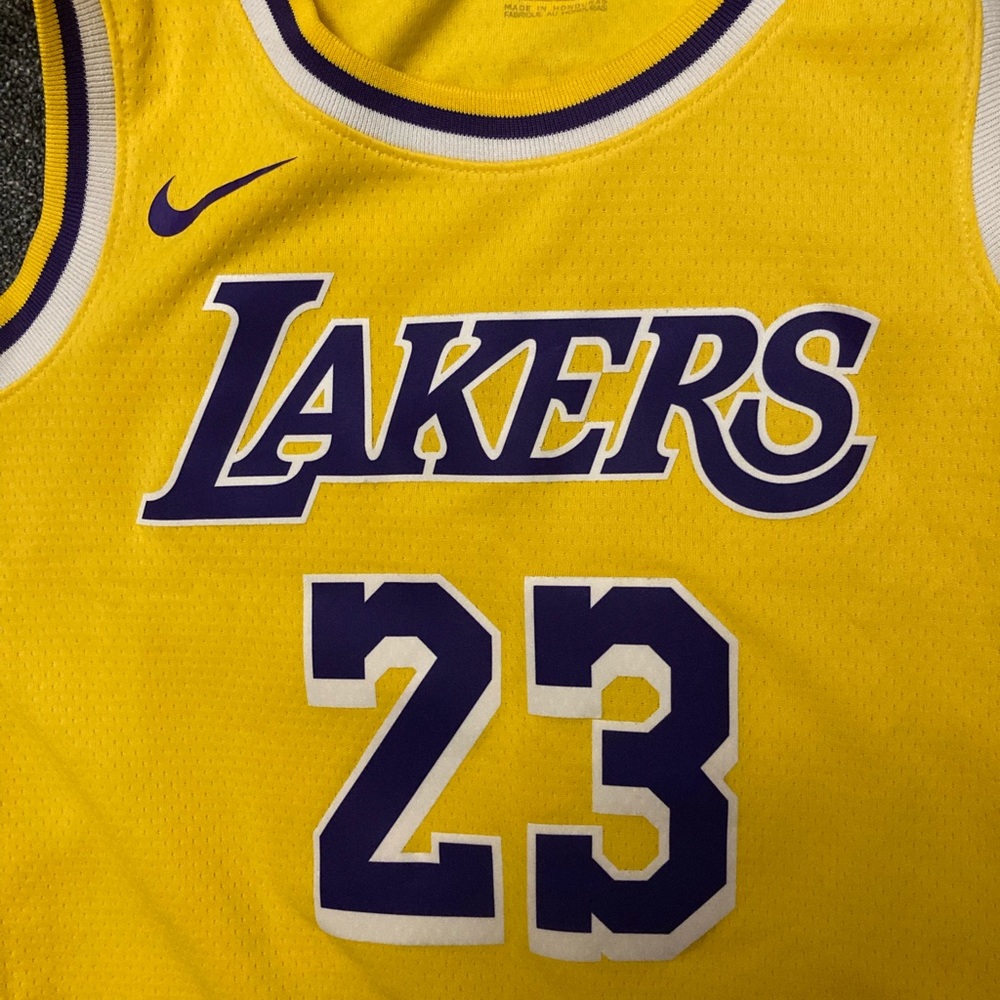 Official Lebron James Lakers Swingman Jersey